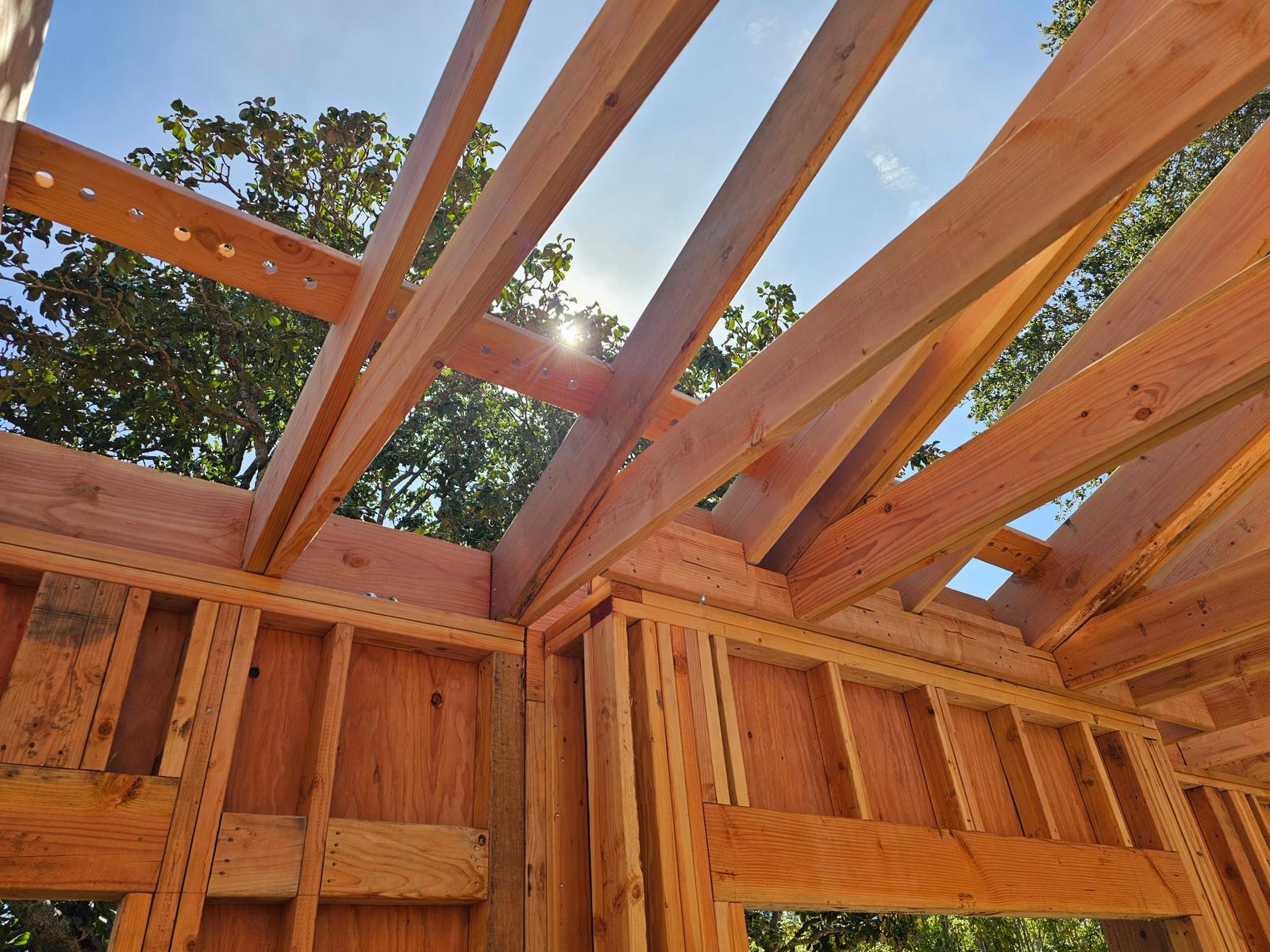 WhatsApp Image 2026-03-11 at 3.33.48 AM (1)