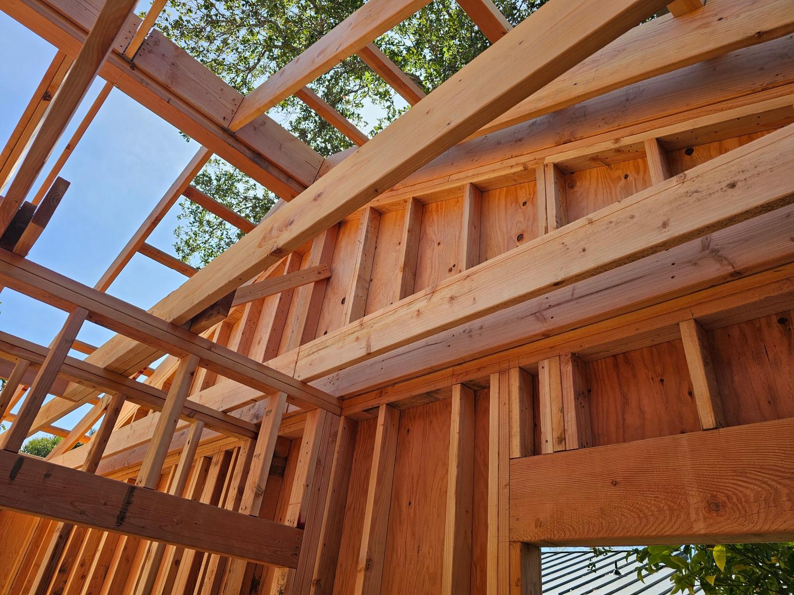 WhatsApp Image 2026-03-11 at 3.33.48 AM (3)