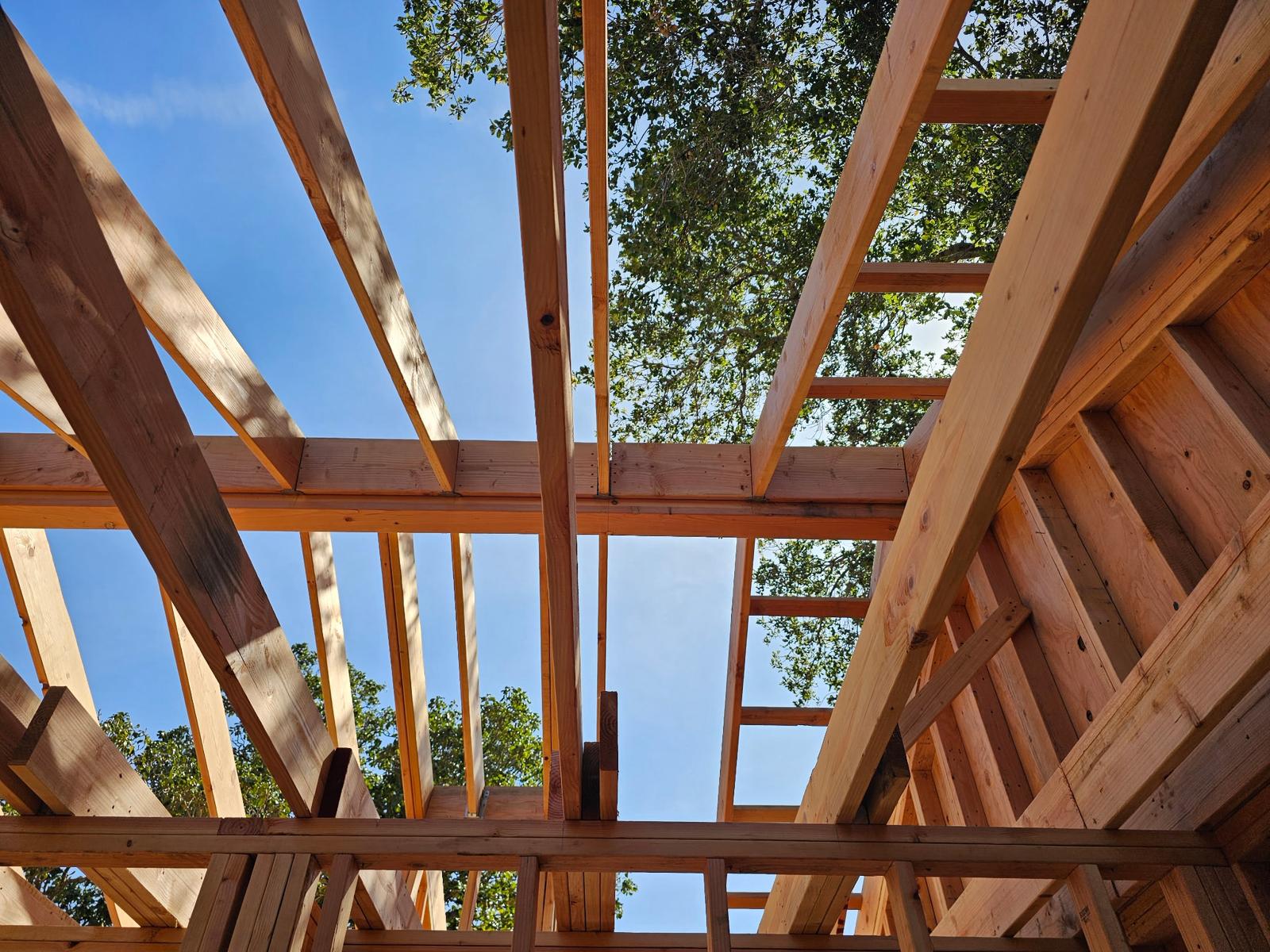 WhatsApp Image 2026-03-11 at 3.33.49 AM